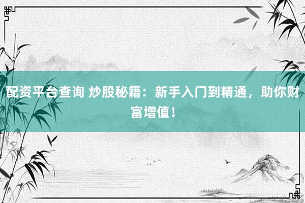 配资平台查询 炒股秘籍：新手入门到精通，助你财富增值！