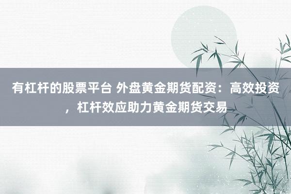 有杠杆的股票平台 外盘黄金期货配资：高效投资，杠杆效应助力黄金期货交易