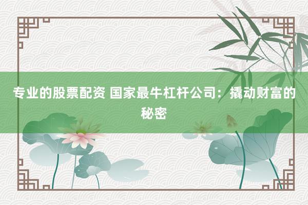 专业的股票配资 国家最牛杠杆公司:撬动财富的秘密