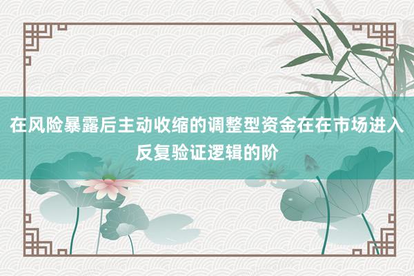 在风险暴露后主动收缩的调整型资金在在市场进入反复验证逻辑的阶
