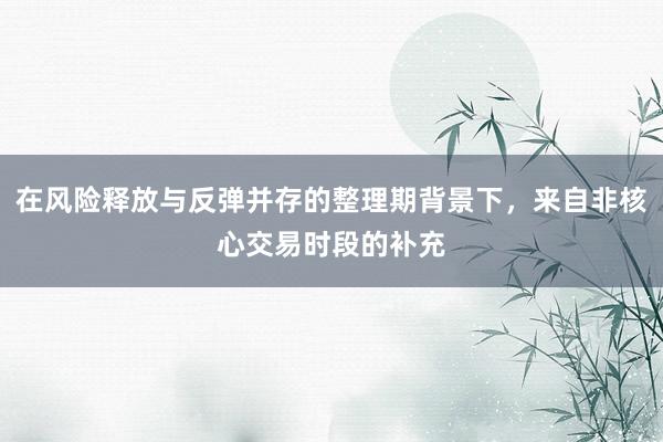 在风险释放与反弹并存的整理期背景下,来自非核心交易时段的补充