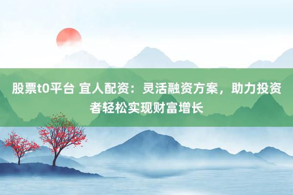 股票t0平台 宜人配资:灵活融资方案,助力投资者轻松实现财富增长