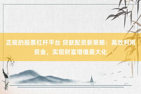 正规的股票杠杆平台 贷款配资新策略：高效利用资金，实现财富增值最大化